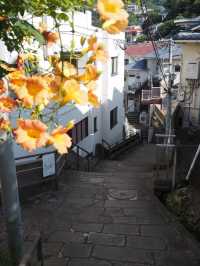 【夫婦旅】長崎を満喫した旅程〜大浦天主堂・グラバー園・孔子廟・外海潜伏キリシタンの里〜