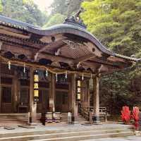 🌊 Solo Zen Escape: Hase-dera Temple in Kamakura