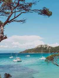 🌞 Hyères: The French Riviera’s Best-Kept Summer Secret 🇫🇷🌺