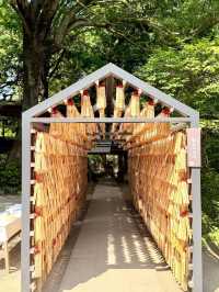 Discover the Magic of Hotoku Ninomiya Shrine: A Summer Adventure in Japan!