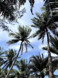 พานั่งปิคนิคริมหาดบางแสน ชลบุรี