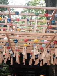 Wind chimes and Pinwheels