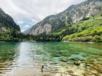 Whispers of Water: Serenity in Every Shade of Blue