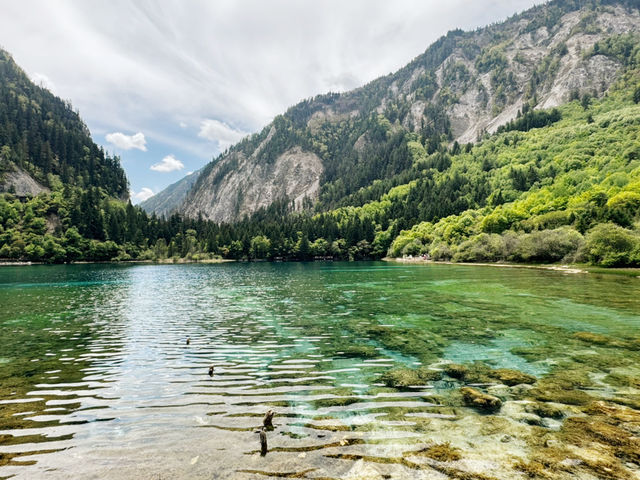 Whispers of Water: Serenity in Every Shade of Blue