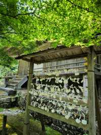 京都三千院，夏天也優美
