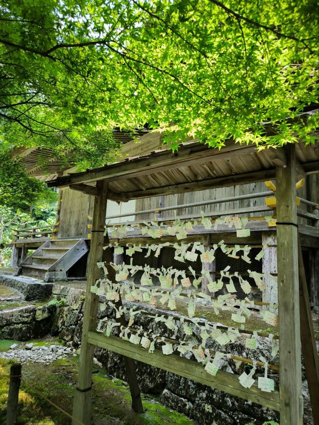 京都三千院，夏天也優美