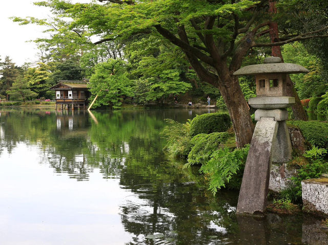 茨城県必遊 日本三大名園 夏日的偕樂園