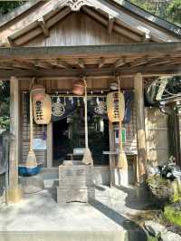 Path of Light: A Visit to Miyajidake Shrine