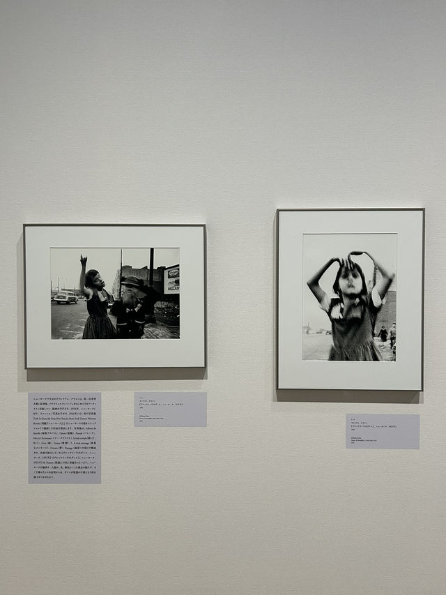 【東京・恵比寿】東京都写真美術館　トランスフィジカル
