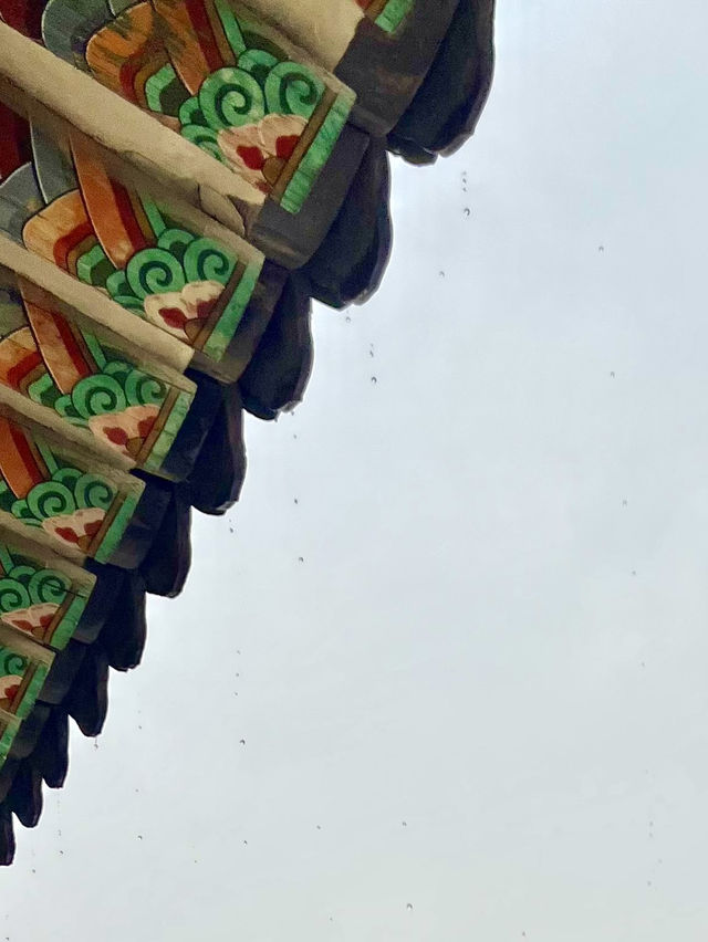 Rainy day of Changdeokgung Palace 
