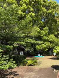 From Pandas to Petals: The Wonders of Ueno Park