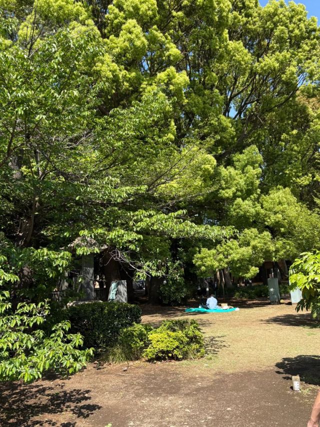 From Pandas to Petals: The Wonders of Ueno Park