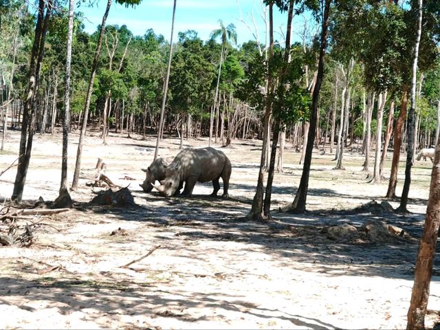 Vinpearl Safari Fun