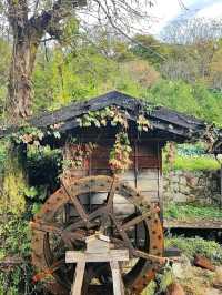 Walking Through Time: Tsumago-juku on the Nakasendo