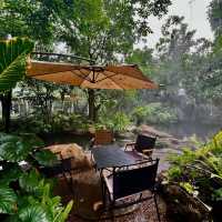 🌳☕ TopTen Forest – คาเฟ่ในสวนเขียวกลางอ่างทอง 