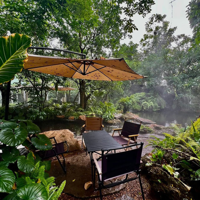 🌳☕ TopTen Forest – คาเฟ่ในสวนเขียวกลางอ่างทอง 