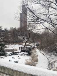 N Seoul Tower ในวันที่หิมะตกหนัก❄️