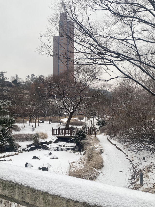 N Seoul Tower ในวันที่หิมะตกหนัก❄️