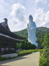 สายมูห้ามพลาด! รีวิววัด Tsz Shan ที่ Hong Kong