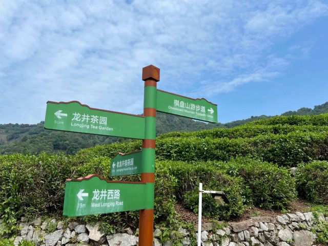 Longjing Village 🍵 