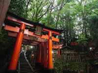 【伏見稲荷大社】千本鳥居の幻想世界へ⛩️願いを込めて歩く、朱のトンネル