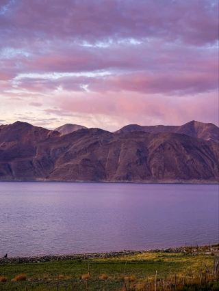 Pangong Tso, The Ultimate Lakeside Hangout in Tibet