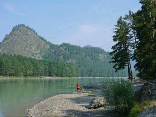 River Blues and Forest Hues, Wandering Around Katun in Chemal