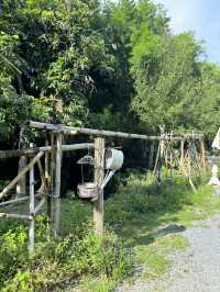 Padee in the wild (ปาฎี) ระยอง