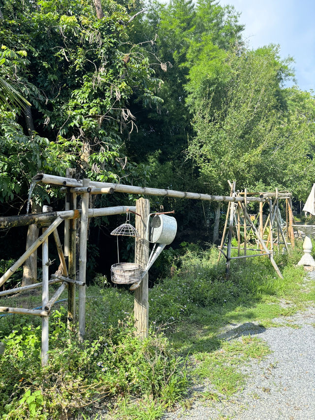 Padee in the wild (ปาฎี) ระยอง