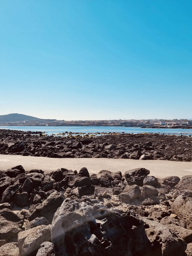 A Camper's Dream with Scenic Oceanfront Camping