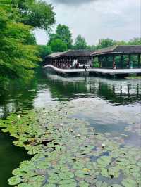 Where Nature’s Beauty Meets Timeless Poetry