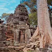 🌿✨ *Srah Srang Tbong Village: Cambodia’s Hidden Silk-Weaving Sanctuary* 🧵🐛