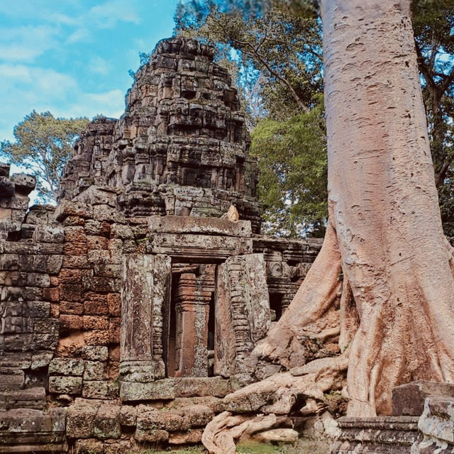 🌿✨ *Srah Srang Tbong Village: Cambodia’s Hidden Silk-Weaving Sanctuary* 🧵🐛