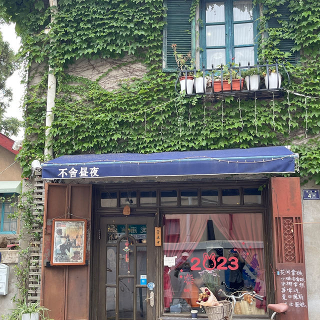 🏘️ Qingdao Alley Adventures — Where Red Roofs Meet Real Life
