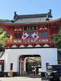 【武雄温泉】歴史と美肌の湯に癒される贅沢なひととき♨️✨