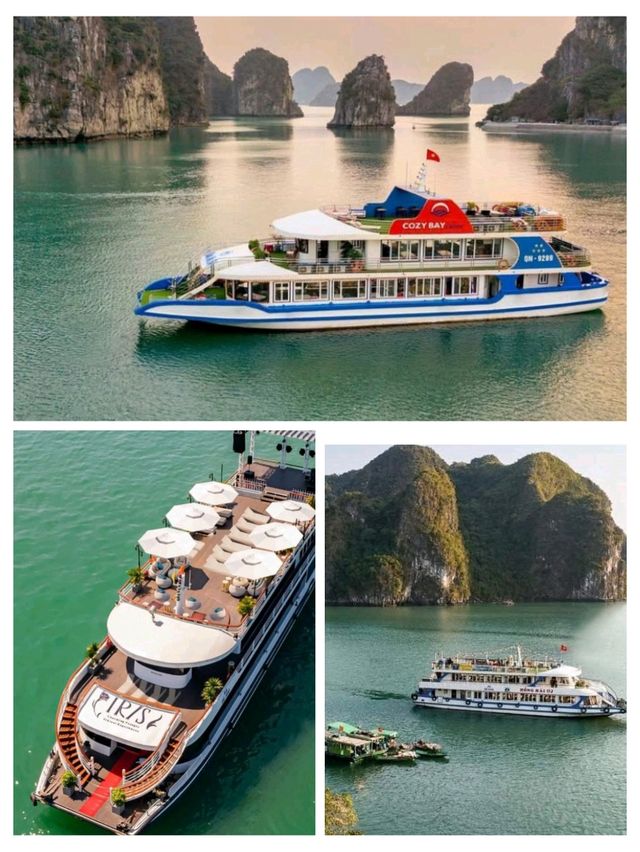 🇻🇳✨ Halong Bay Cruise Guide