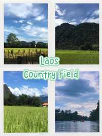 🌾 Breathe in the Peace: Vang Vieng's Endless Rice Fields