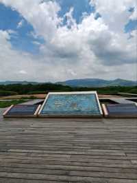 A Harmonious Blend Of Nature And Antiquity