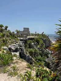 Curious Tracks and New Views at Tren Maya in Cancún
