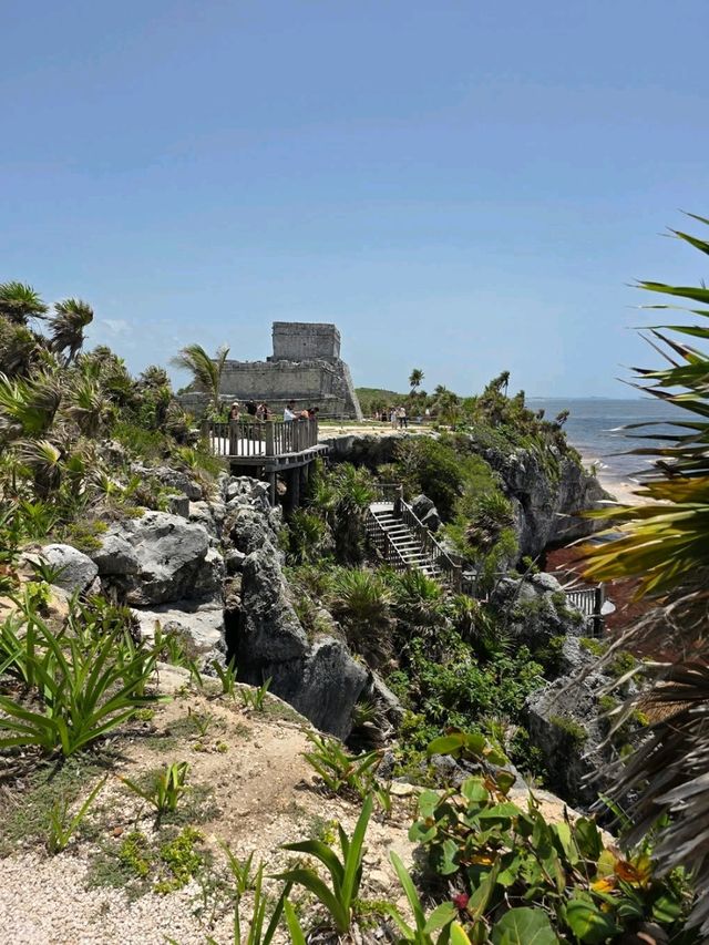 Curious Tracks and New Views at Tren Maya in Cancún