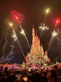 Disneyland in New Year 2025