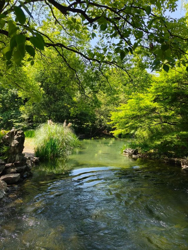東灘濕地公園—綠化生境 東灘濕地公園—綠化生境