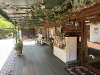 【ぶどうの樹 岡垣本店｜福岡・岡垣町 「海・森・グルメが融合する体験型レストラン＆リゾート」】 