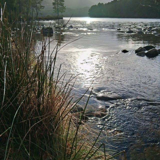 Mystic Reflections: A Day at Loch An Eilein Mystic Reflections: A Day at Loch An Eilein