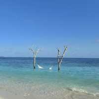 Bandos Maldives – Tropical Island Escape Near Malé