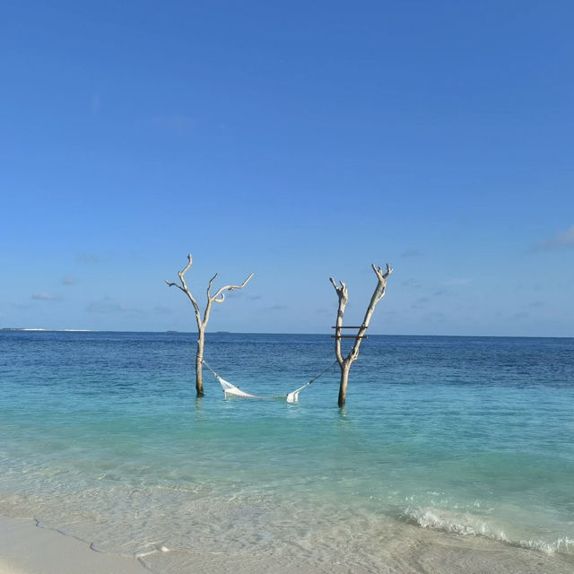 Bandos Maldives – Tropical Island Escape Near Malé Bandos Maldives – Tropical Island Escape Near Malé