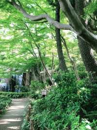 💧🏞️水と音がつなぐ非日常──品川・御殿山庭園の滝散歩
