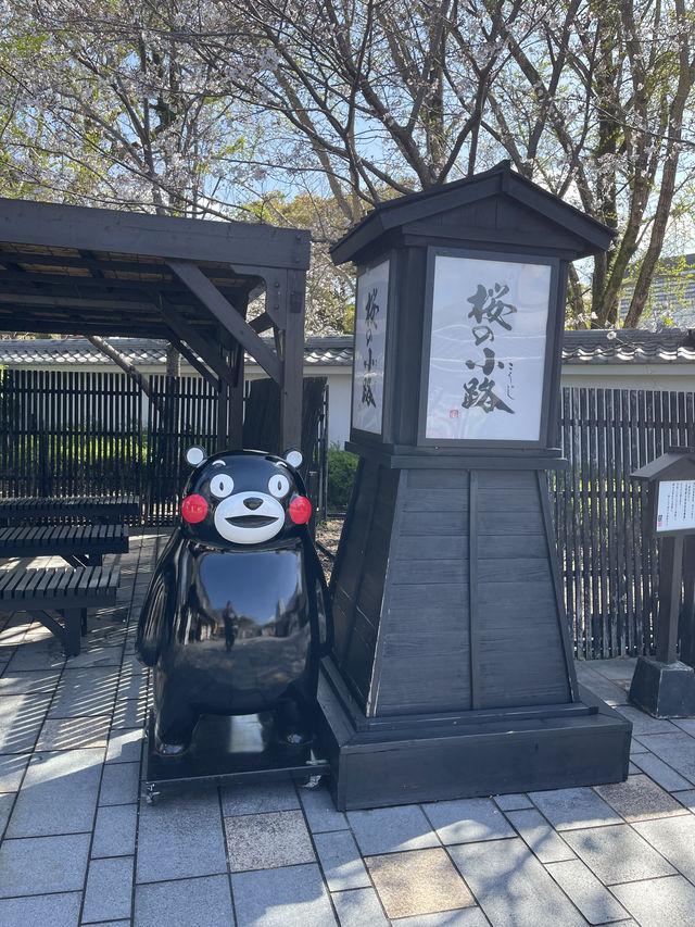 特種兵快閃熊本市區