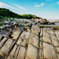 🌊🏔️ *Solo Adventure Alert:* Discover Xiaoyeliu – Taiwan’s Mini Geopark Wonder! 