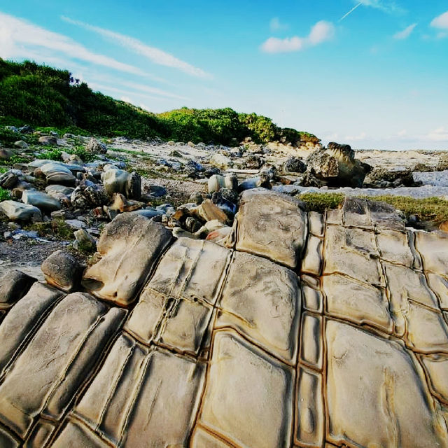 🌊🏔️ *Solo Adventure Alert:* Discover Xiaoyeliu – Taiwan’s Mini Geopark Wonder! 